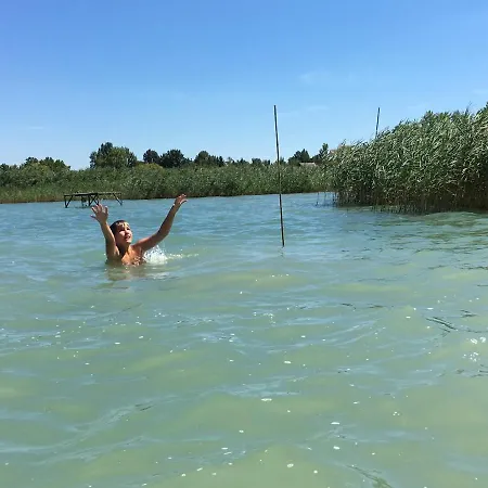 Myzamardi * Zamardi