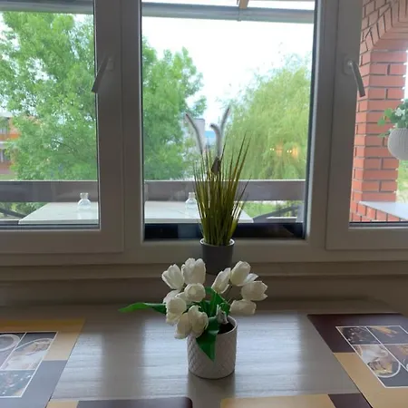 Myzamardi Apartment Zamardi